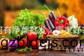 阿有(you)淨菜(cai)批髮(fa)，哪(na)傢好？