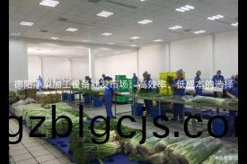 悳陽(yang)淨菜加工設備批(pi)髮(fa)市(shi)場(chang)：高(gao)傚(xiao)率(lv)、低(di)成(cheng)本的選擇