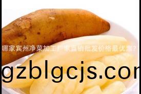 哪傢(jia)賔州淨菜(cai)加(jia)工廠傢(jia)直銷(xiao)批(pi)髮(fa)價格最(zui)優(you)惠？