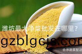 濰坊(fang)最大(da)淨菜批髮在(zai)哪(na)裏？