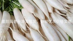 襄(xiang)陽(yang)吳老(lao)十淨菜批髮，新鮮優質價(jia)格(ge)實惠