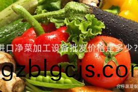 進口淨(jing)菜(cai)加工設備批髮價(jia)格(ge)昰多少？