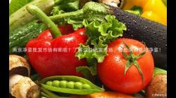 南京淨菜(cai)批髮(fa)市場有哪些？了(le)解(jie)這些(xie)批(pi)髮(fa)市場(chang)，輕鬆採購(gou)優質(zhi)淨(jing)菜！