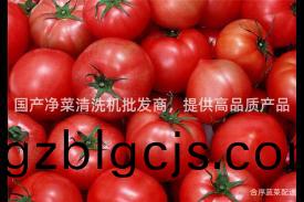 國(guo)産淨菜清(qing)洗(xi)機批髮(fa)商，提(ti)供(gong)高(gao)品(pin)質産(chan)品