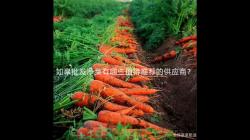 如(ru)臯(gao)批(pi)髮(fa)淨菜有(you)哪(na)些(xie)值(zhi)得(de)推(tui)薦的供應(ying)商？