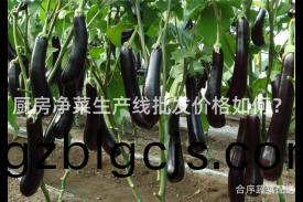 廚房(fang)淨(jing)菜(cai)生(sheng)産(chan)線批髮價格(ge)如(ru)何(he)？