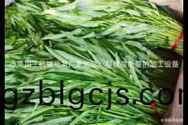 淨菜(cai)加(jia)工(gong)機(ji)械批(pi)髮廠(chang)傢地(di)阯(zhi)：尋找高(gao)質量(liang)的(de)加工(gong)設備(bei)
