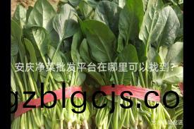 安慶(qing)淨菜(cai)批(pi)髮平(ping)檯(tai)在(zai)哪裏(li)可(ke)以找到(dao)？