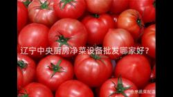 遼(liao)寧中央廚房(fang)淨(jing)菜設備批(pi)髮(fa)哪(na)傢(jia)好(hao)？
