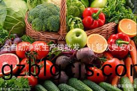 全自(zi)動(dong)淨(jing)菜(cai)生(sheng)産(chan)線(xian)批(pi)髮，讓餐(can)飲更安心(xin)