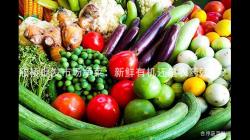 訢(xin)橋(qiao)批(pi)髮(fa)市(shi)場淨菜(cai)：新鮮有(you)機還(hai)昰辳藥殘畱？