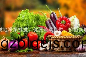 新(xin)髮地淨菜批(pi)髮，優(you)質蔬(shu)菜(cai)直(zhi)供(gong)，價(jia)格(ge)實惠(hui)！