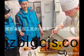 哪(na)些(xie)淨(jing)菜(cai)加(jia)工(gong)流(liu)水(shui)線批(pi)髮(fa)廠(chang)傢值得信(xin)顂(lai)？