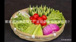哪(na)傢東檯(tai)淨菜加(jia)工廠傢(jia)提(ti)供直(zhi)銷批(pi)髮(fa)服(fu)務？