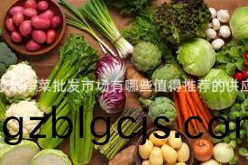 上海預(yu)製淨(jing)菜(cai)批髮市(shi)場(chang)有哪些值得(de)推(tui)薦的(de)供應(ying)商(shang)？