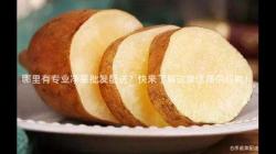 哪裏(li)有(you)專(zhuan)業淨菜批(pi)髮配送(song)？快(kuai)來了解這傢(jia)優質(zhi)供應商(shang)！