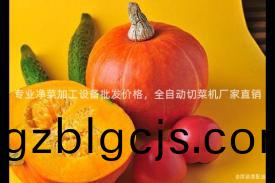 專(zhuan)業(ye)淨菜加工設(she)備批髮價(jia)格(ge)，全自動切(qie)菜機廠傢(jia)直銷(xiao)