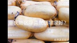 重慶地(di)區淨菜配(pei)送哪(na)傢好(hao)？