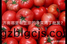 濟(ji)南哪裏有(you)正宗的(de)淨菜(cai)鷄(ji)丁(ding)批髮？