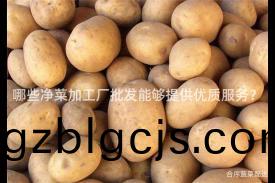 哪(na)些淨(jing)菜(cai)加(jia)工(gong)廠批髮(fa)能(neng)夠提供優質(zhi)服務？