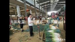 批(pi)髮淨菜(cai)，新鮮(xian)送(song)達(da)，品質保證！