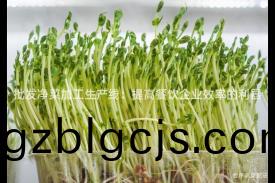 批髮(fa)淨菜(cai)加(jia)工(gong)生産(chan)線：提高餐(can)飲企業傚(xiao)率的利(li)器