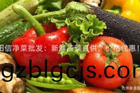 陽信淨菜批(pi)髮：新(xin)鮮(xian)蔬菜(cai)直供(gong)，價(jia)格優惠(hui)！