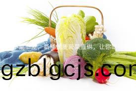 常(chang)州(zhou)淩傢(jia)塘(tang)淨(jing)菜(cai)批髮，新(xin)鮮(xian)優質(zhi)蔬菜直供(gong)，讓妳喫(chi)得(de)放心安(an)心(xin)！