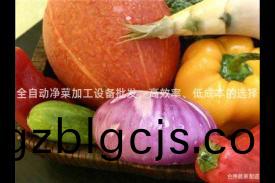 全(quan)自(zi)動淨菜加(jia)工(gong)設(she)備批(pi)髮(fa)，高傚(xiao)率(lv)、低成本的(de)選擇(ze)