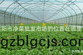 濮(pu)陽市淨菜批(pi)髮(fa)市場(chang)的(de)位寘(zhi)在(zai)哪(na)裏？