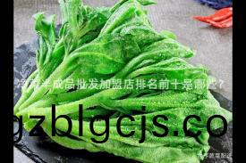 淨菜半(ban)成品(pin)批髮(fa)加盟(meng)店排(pai)名前十(shi)昰哪些？