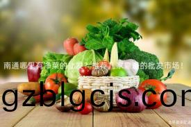南(nan)通哪(na)裏(li)有(you)淨菜(cai)的批(pi)髮(fa)？推薦(jian)幾(ji)傢靠(kao)譜(pu)的批(pi)髮(fa)市(shi)場(chang)！