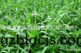 哪(na)傢(jia)淨菜(cai)加(jia)工(gong)機(ji)械批髮(fa)廠(chang)傢口(kou)碑(bei)好？
