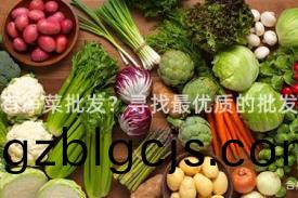 哪(na)裏(li)有(you)淨(jing)菜批(pi)髮？尋找最(zui)優質(zhi)的(de)批髮(fa)商(shang)！