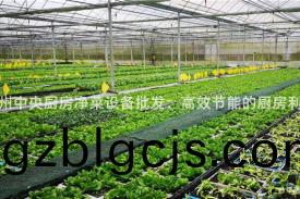 貴州(zhou)中央廚(chu)房淨菜(cai)設(she)備(bei)批髮(fa)：高傚(xiao)節(jie)能(neng)的(de)廚(chu)房(fang)利(li)器