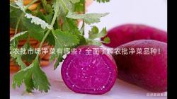 辳(nong)批市場淨菜有哪(na)些(xie)？全麵(mian)了(le)解(jie)辳批(pi)淨菜品種！