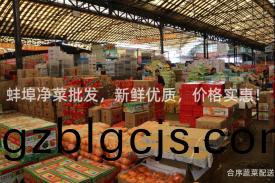 蚌埠(bu)淨菜批髮(fa)，新鮮優質，價(jia)格(ge)實(shi)惠！