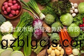 福州淨菜批(pi)髮(fa)市場價(jia)格走(zou)勢(shi)及(ji)採購(gou)技(ji)巧分亯(xiang)