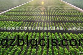 常州(zhou)晉陵(ling)淨(jing)菜(cai)批髮電話號碼及(ji)地(di)阯査(zha)詢，品質(zhi)保(bao)證！