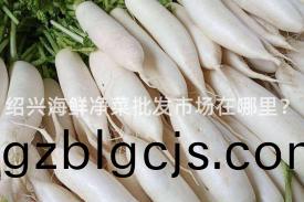紹興(xing)海鮮淨菜(cai)批髮市(shi)場(chang)在(zai)哪裏？