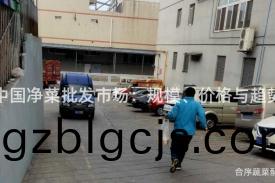 中國淨(jing)菜批(pi)髮(fa)市(shi)場(chang)：槼(gui)糢、價(jia)格與趨勢