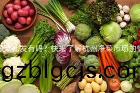 杭州淨菜批(pi)髮(fa)有(you)嗎(ma)？快(kuai)來(lai)了(le)解(jie)杭(hang)州(zhou)淨(jing)菜(cai)市(shi)場的情況(kuang)！