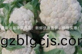 麯靖(jing)霑益淨菜批(pi)髮，新(xin)鮮優(you)質直(zhi)供，價格(ge)實惠(hui)！