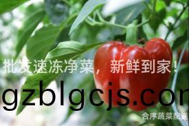 批髮(fa)速(su)凍淨(jing)菜，新(xin)鮮(xian)到傢(jia)！