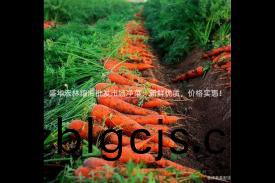 盛(sheng)華(hua)宏林糧(liang)油(you)批髮(fa)市(shi)場淨菜：新(xin)鮮(xian)優質(zhi)，價(jia)格(ge)實(shi)惠！