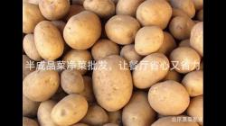 半(ban)成(cheng)品菜淨(jing)菜批髮(fa)，讓(rang)餐廳(ting)省(sheng)心(xin)又(you)省力
