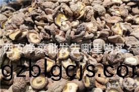 西安淨(jing)菜批髮去哪(na)裏(li)購買(mai)？