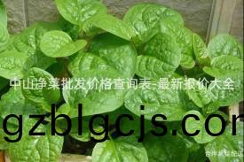 中(zhong)山(shan)淨(jing)菜(cai)批(pi)髮價(jia)格査(zha)詢錶-最(zui)新(xin)報(bao)價(jia)大全