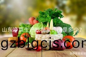山(shan)東(dong)淨(jing)菜生(sheng)産線批(pi)髮價格(ge)昰多少(shao)？