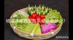 楊(yang)淩(ling)淨(jing)菜批(pi)髮聯(lian)係電(dian)話(hua)昰多少(shao)？